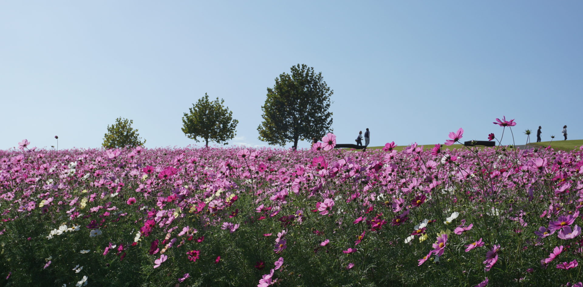 月: <span>2019年10月</span>