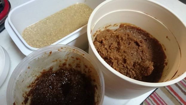 発酵食シリーズ~醤油麹編~