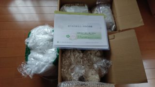 無農薬の大豆と麹で手前味噌づくり☺️